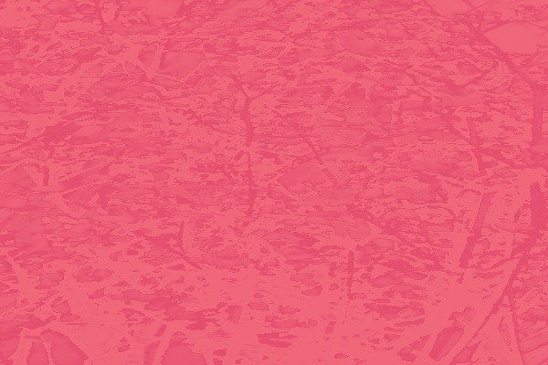 Border images / lines / design / pictures / background colors / background pictures