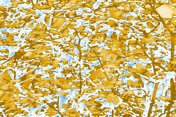 Border images / lines / design / pictures / background colors / background pictures