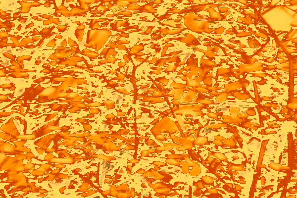 Border images / lines / design / pictures / background colors / background pictures