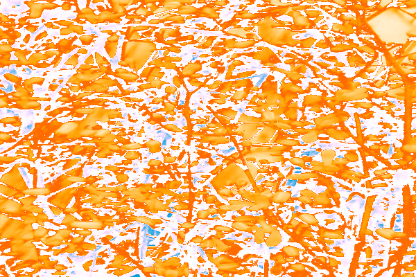 Border images / lines / design / pictures / background colors / background pictures