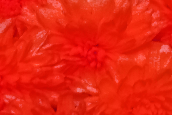 Border images / lines / design / pictures / background colors / background pictures