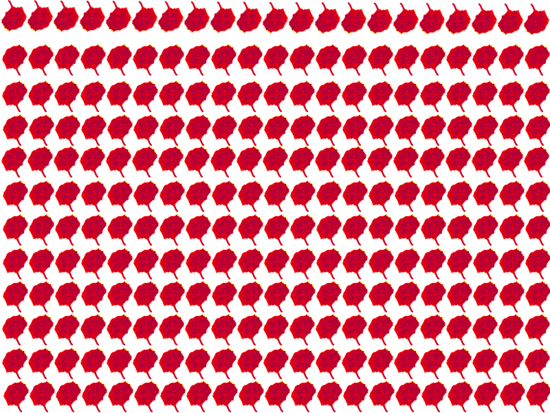 Border images / lines / design / pictures / background colors / background pictures