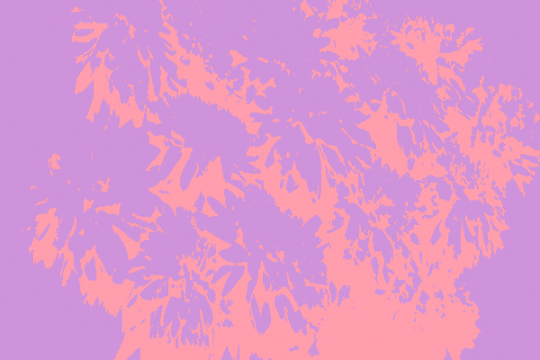 Border images / lines / design / pictures / background colors / background pictures