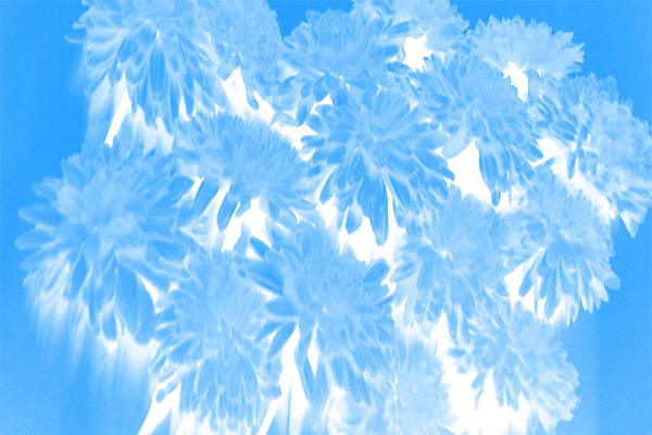 Border images / lines / design / pictures / background colors / background pictures