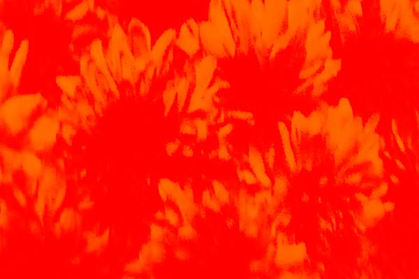 Border images / lines / design / pictures / background colors / background pictures