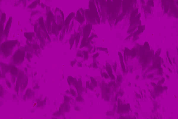 Border images / lines / design / pictures / background colors / background pictures