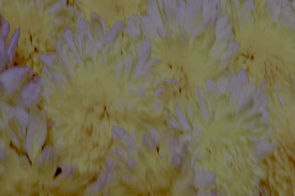 Border images / lines / design / pictures / background colors / background pictures