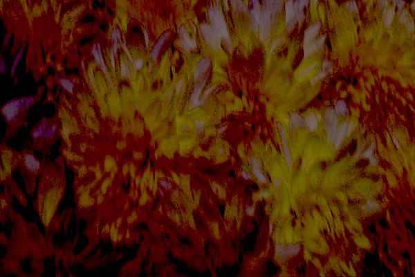 Border images / lines / design / pictures / background colors / background pictures