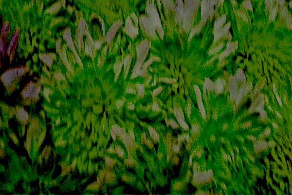 Border images / lines / design / pictures / background colors / background pictures