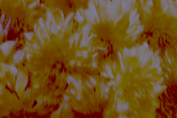 Border images / lines / design / pictures / background colors / background pictures