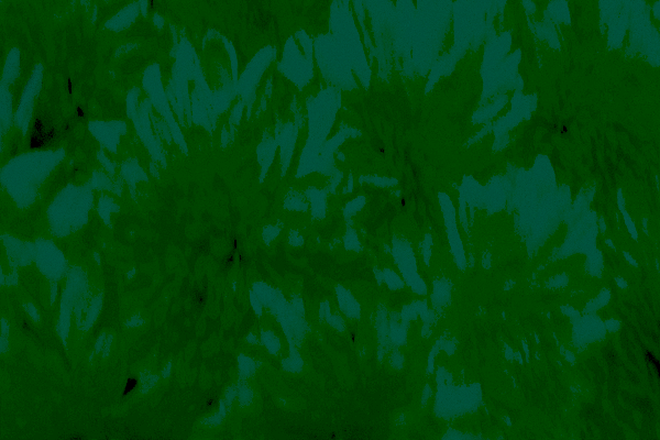 Border images / lines / design / pictures / background colors / background pictures