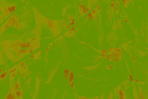 Border images / lines / design / pictures / background colors / background pictures