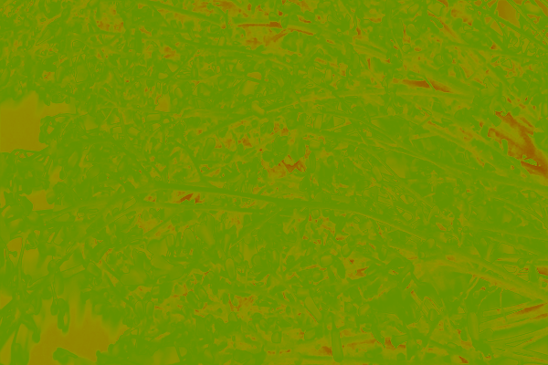 Border images / lines / design / pictures / background colors / background pictures