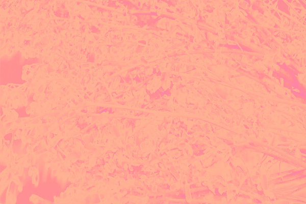 Border images / lines / design / pictures / background colors / background pictures