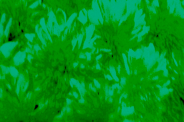 Border images / lines / design / pictures / background colors / background pictures