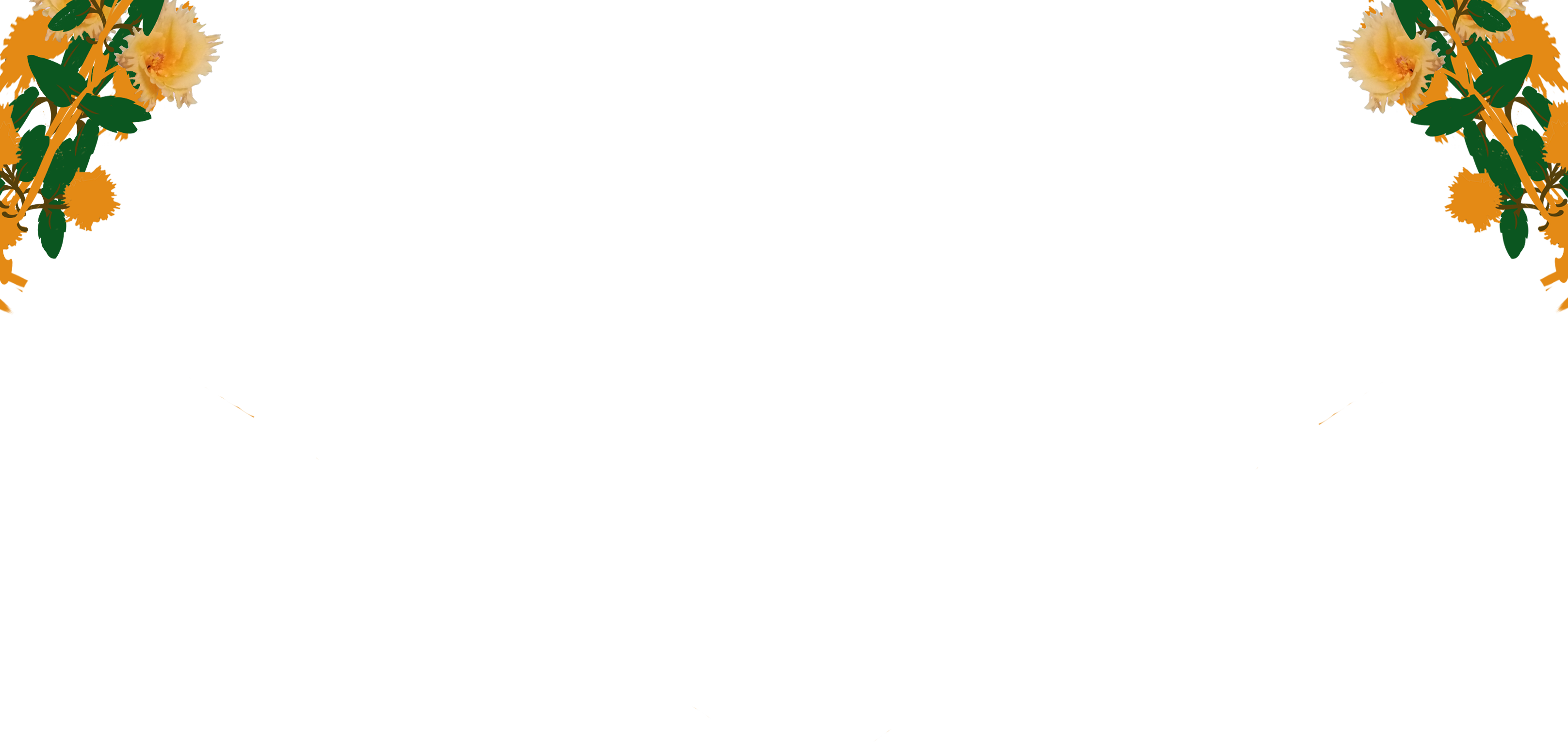 Border images / lines / design / pictures / background colors / background pictures