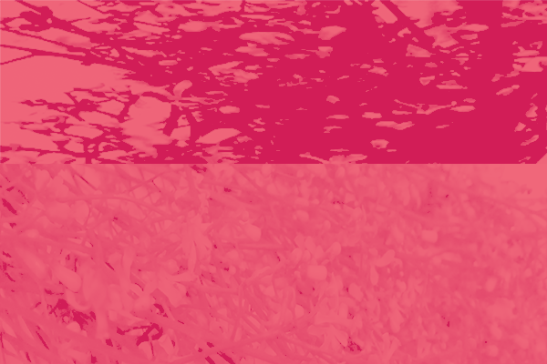 Border design / Background images